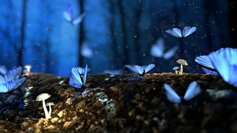 Enchanted garden classes